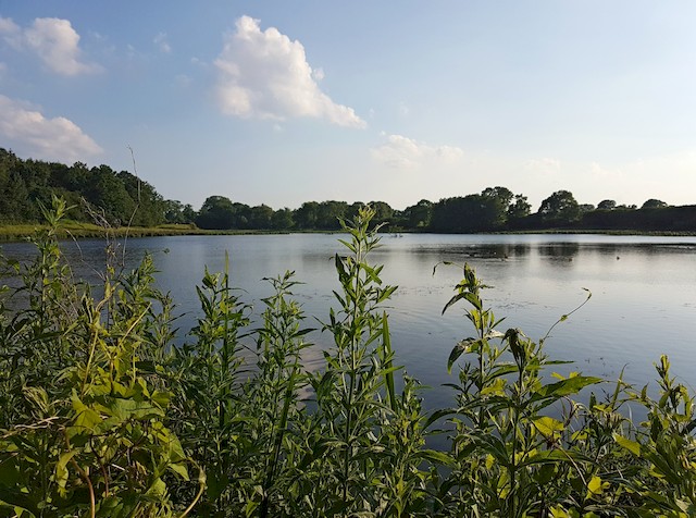 Die Seekamper Seewiesen