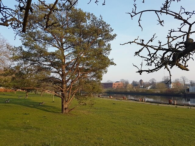 Schleusenwiese