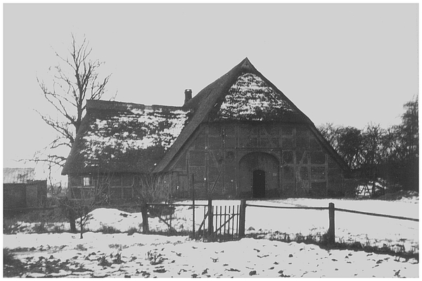 Fachhallenhaus
        Hammerich